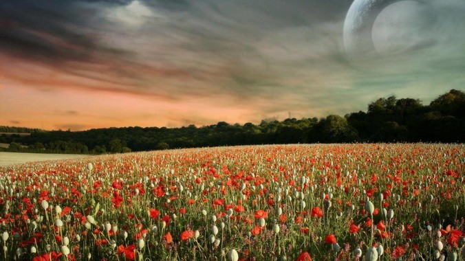 你们听过领导最没水平的一句话是什么？